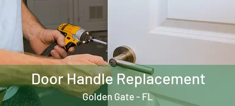  Door Handle Replacement Golden Gate - FL