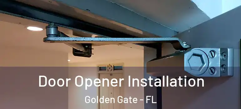  Door Opener Installation Golden Gate - FL