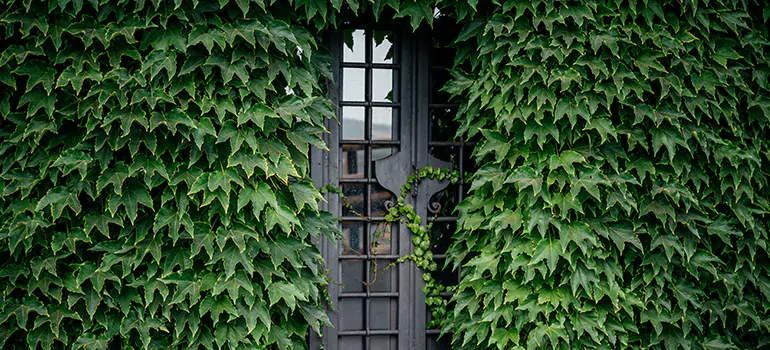 Garden Gate Repair in Golden Gate, FL