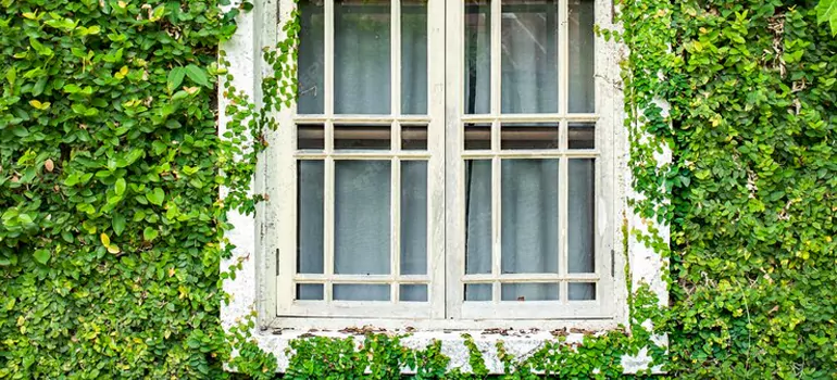 Garden Window Repair Near Me in Golden Gate, FL