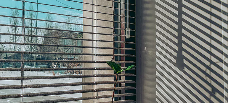 Commercial Window Blinds in Golden Gate, FL