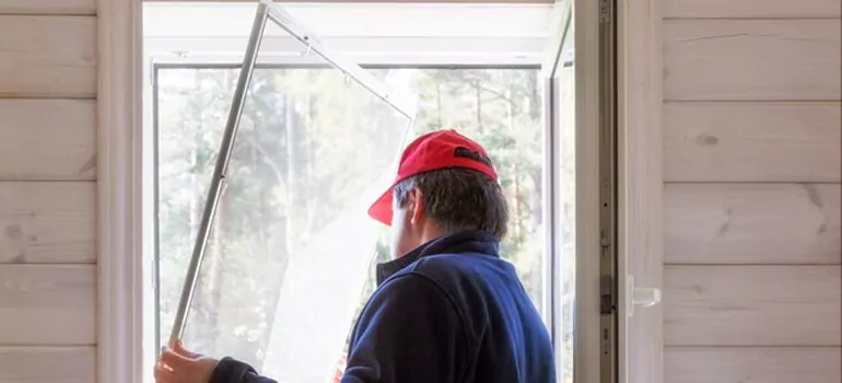 Expandable Window Screen Installation in Golden Gate, FL