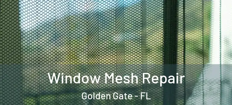 Window Mesh Repair Golden Gate - FL